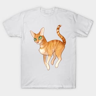 Cozy Orange Tabby T-Shirt